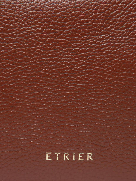 Leather Tradition Coin Purse S Etrier Brown tradition ETRA095S other view 5